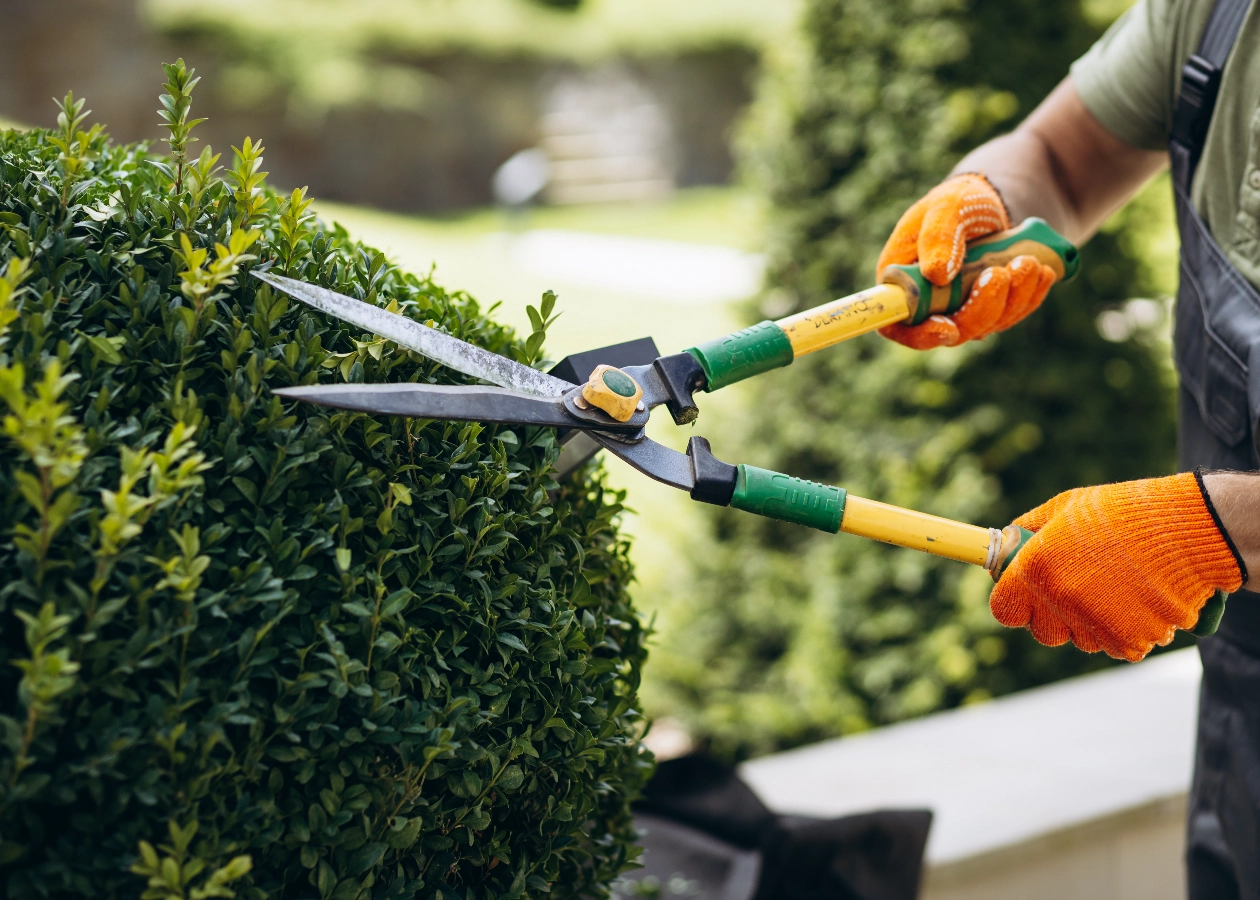 Image for A1 Gardener Monthly Maintenance item -easy website, Easy Website, Garden design, Free Website, Tree pruning, Simple Website, New Company, Best Website Builder, No Coding Website, Free website template, Lawn care, Company Website